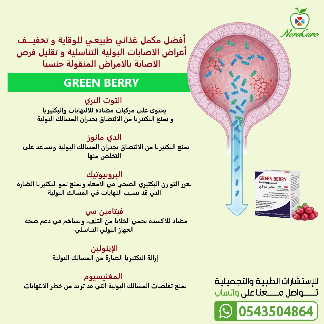 GREEN BERRY جرين بيري لصحة الجهاز البولي - الصورة 2