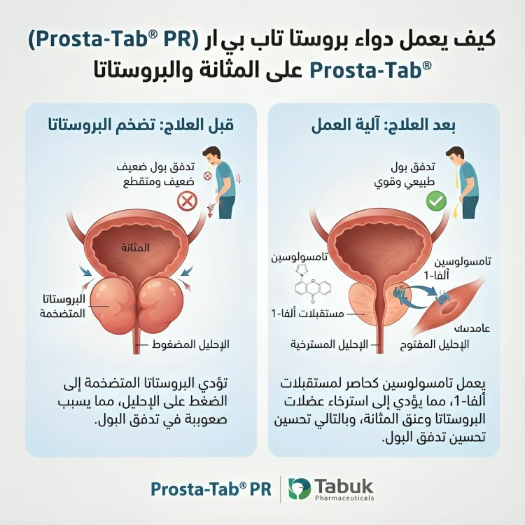 بروستا تاب بي ار PROSTA TAB PR - الصورة 2