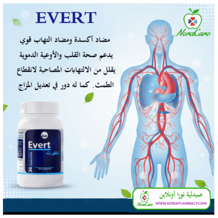 ⁦ايفيرت لتخفيف اعراض انقطاع الطمث EVERT⁩ - الصورة ⁦4⁩