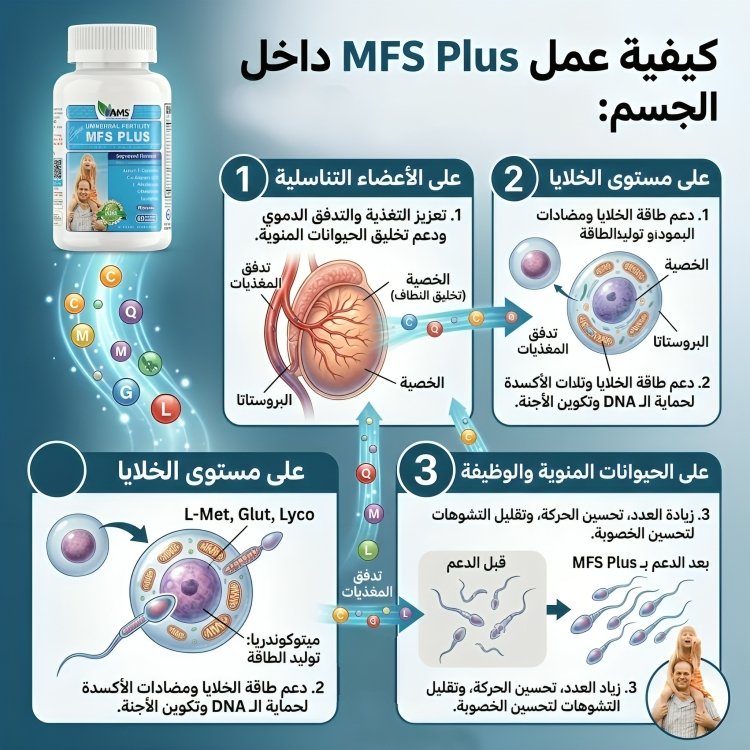 MFS Plus ام اف اس بلس فيتامين الحيوانات المنويه - الصورة 9