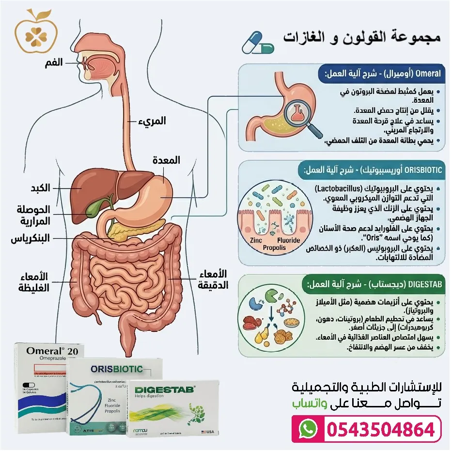 افضل علاج للقولون . بكتريا نافعة للقولون . أفضل دواء للقولون والغازات - الصورة 5