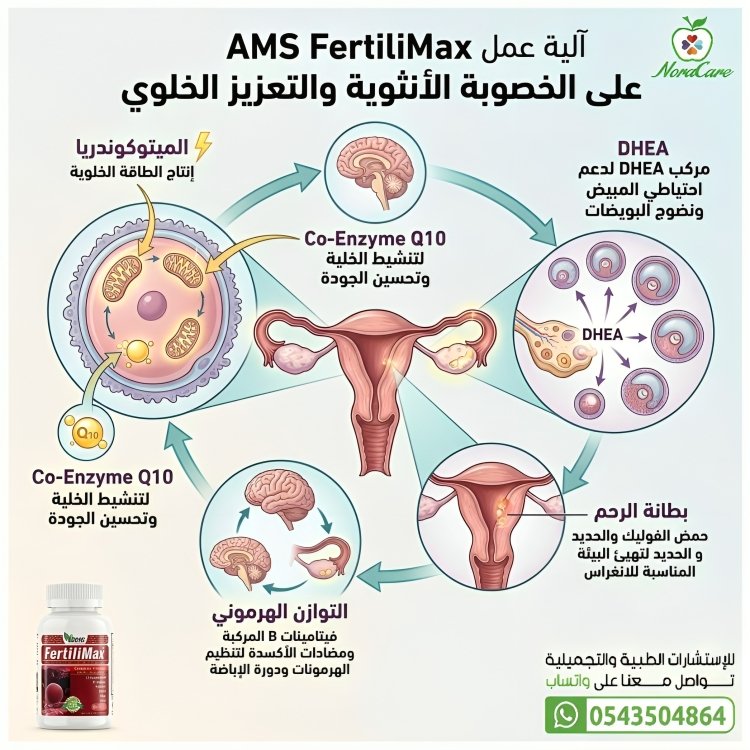 AMS FertiliMax فيتامين الخصوبة للنساء - الصورة 4