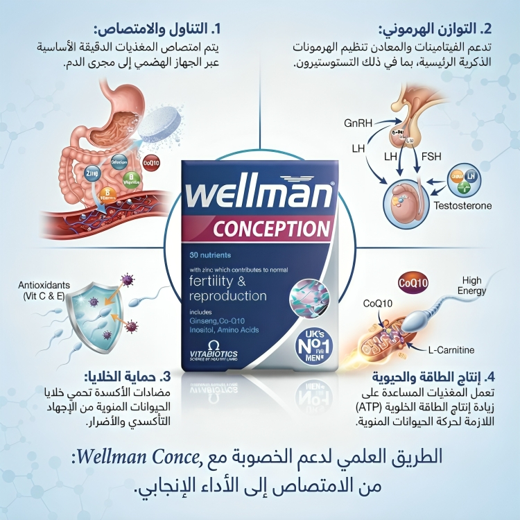 wellman conception ويلمان كونسيبشن فيتامينات الخصوبة للرجال - الصورة 4