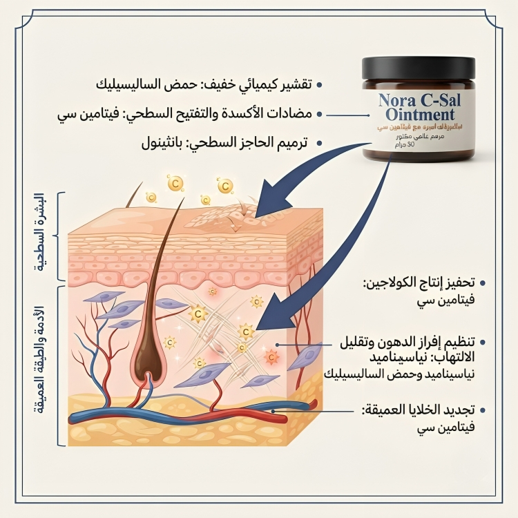 سالسيلك اسيد مع فيتامين سي مرهم Nora C-Sal Ointment - الصورة 2