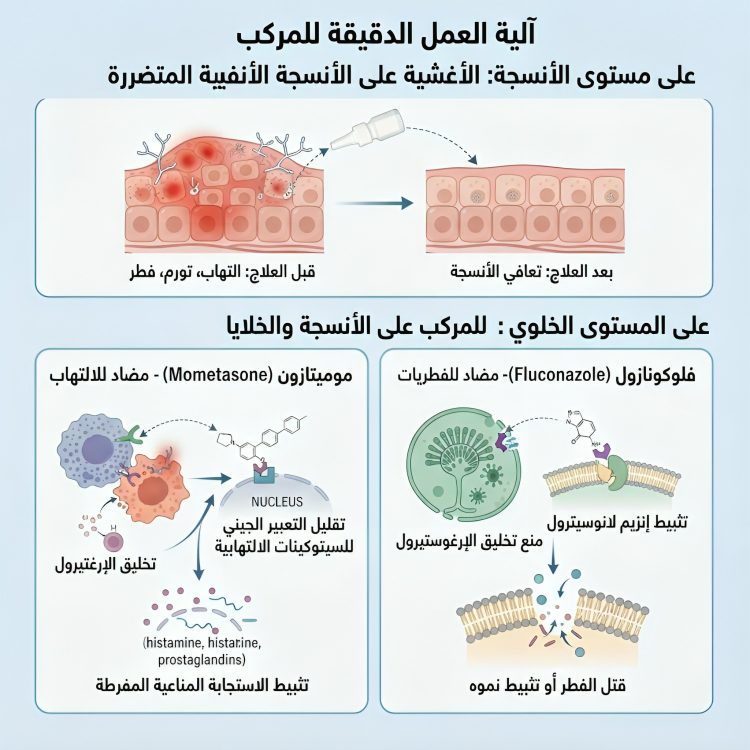 علاج فطريات الانف بخاخ ميموتازون + فلوكونازول - الصورة 2