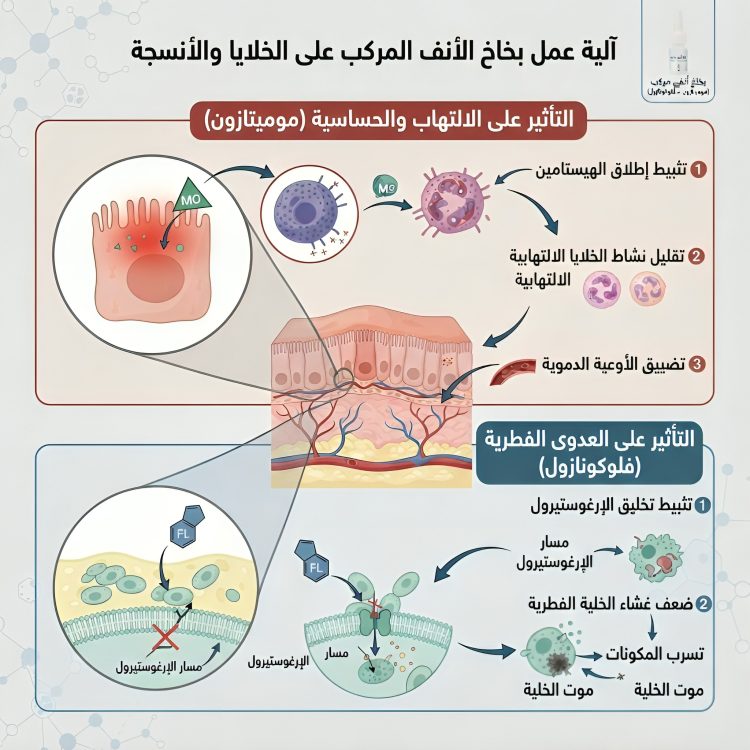 علاج فطريات الانف بخاخ ميموتازون + فلوكونازول - الصورة 3