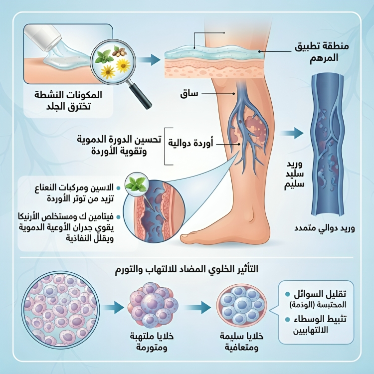 مرهم لعلاج الدوالي ريلاكس ليج Relax Leg - الصورة 2