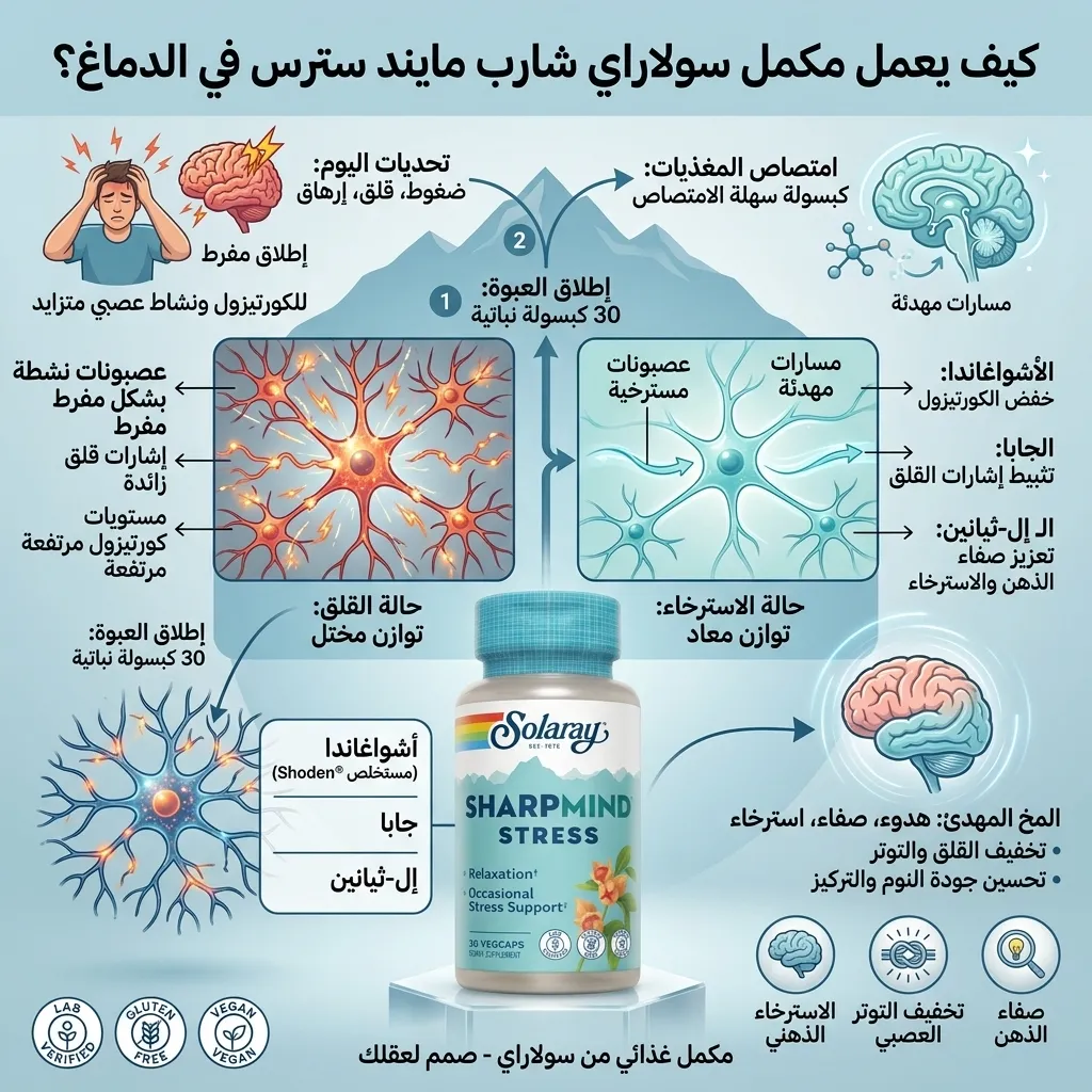 حبوب اشواغاندا و مكمل الجابا لتخفيف التوتر و القلق - الصورة 3